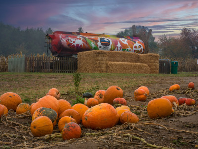 A field of pumpkins and a painted tanker in the distance