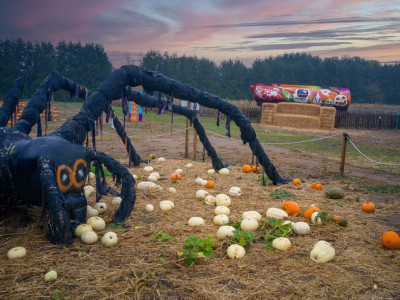 A field of pumpkins with a giant spider and a graffitied tanker in the distance